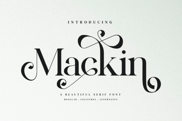 Mackin Serif: A Designer’s Honest Review for Branding