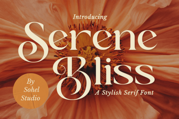 Serene Bliss: A Versatile Serif Font for Web Design